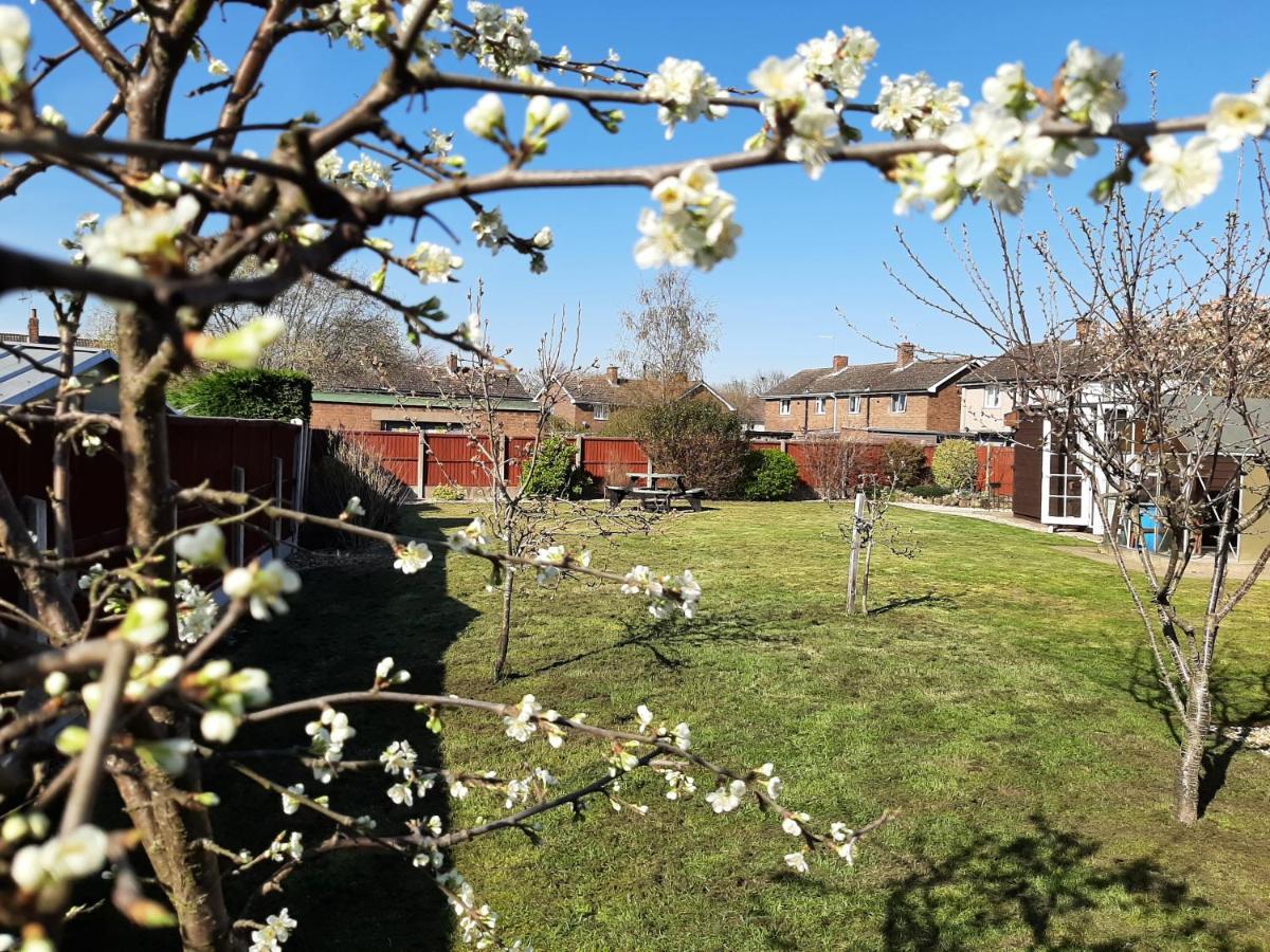 Vila Huge Garden House For Contractors And Families Ollerton Exteriér fotografie